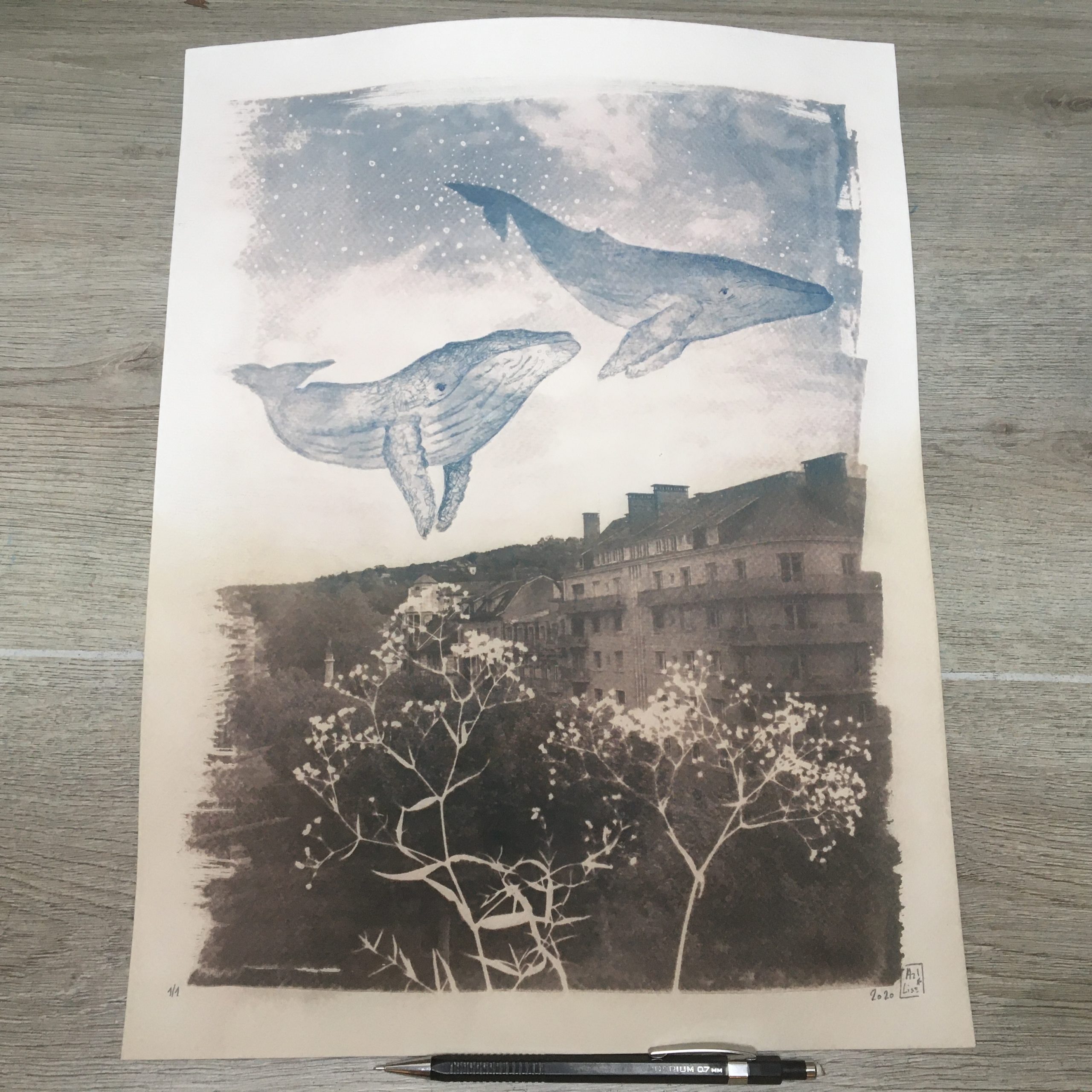 IMG_4033 LinoLino | Linogravure et créations à partir d'impressions artisanales | Chambéry, France | Cyanotype baleines dans le ciel de Chambéry virage sépia partiel