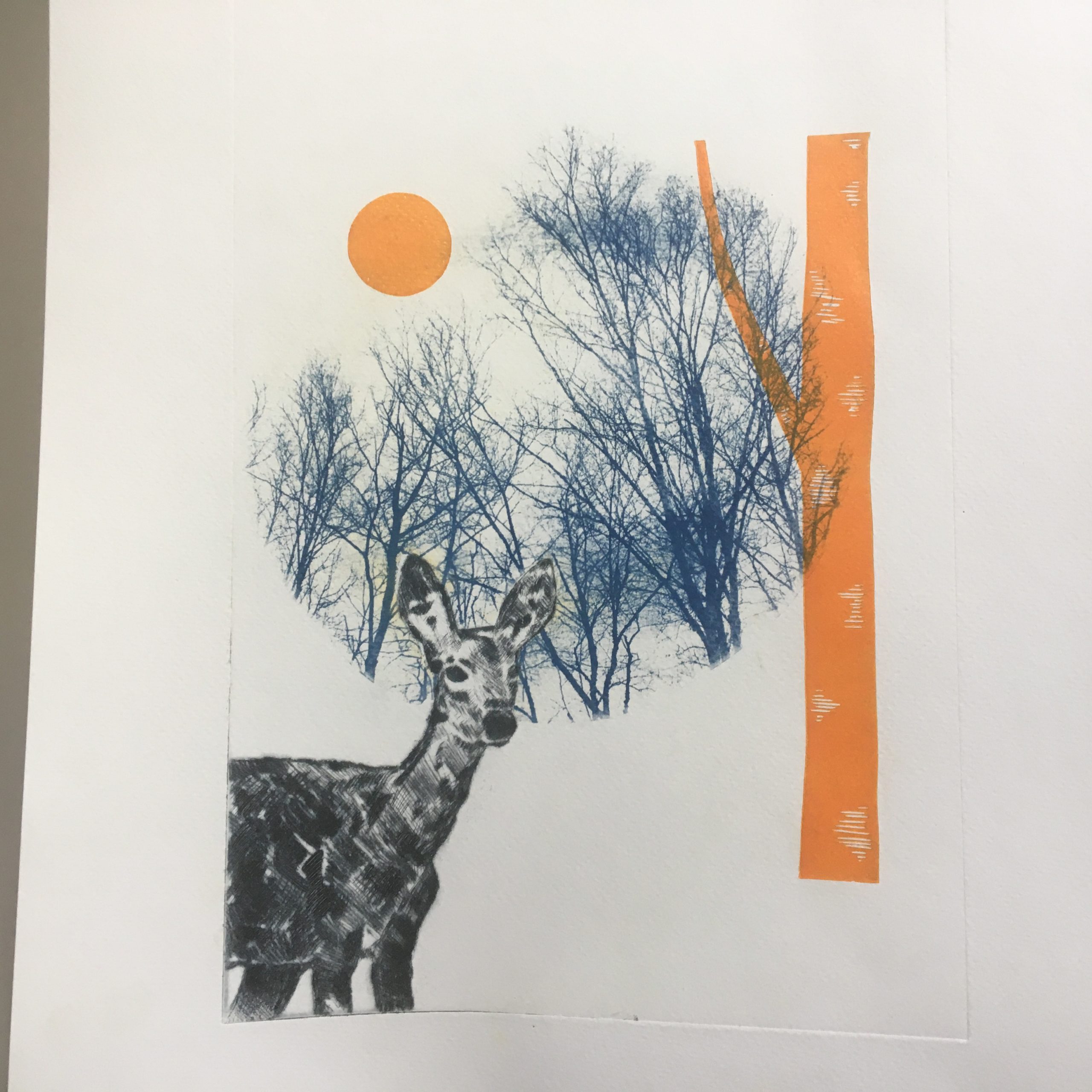 IMG_4987 LinoLino | Linogravure et créations à partir d'impressions artisanales | Chambéry, France | Cyanotype et gravure pointe sèche biche et orange